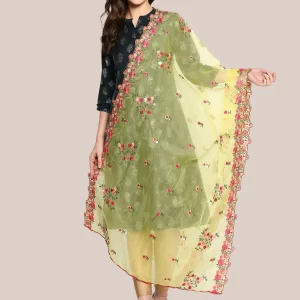 Organza Dupatta with Multicolor Floral Embroidery