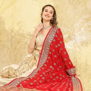 Heavily Embroidered Designer Georgette Dupatta