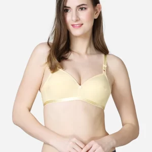 Single layered pointed seamed cup medium coverage bra