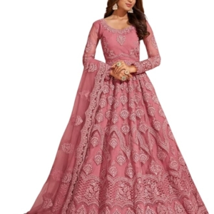 Net Embroidered Semi-Stitched Gown