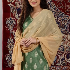 Gold Shimmer Polka Dots Printed Chiffon Dupatta